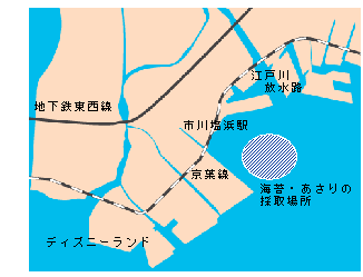 myweb16010002.gif