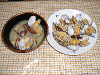 myweb16014002.jpg