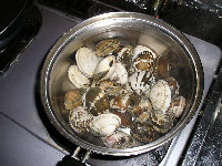 myweb16014004.jpg