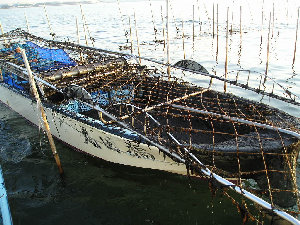 myweb16015013.jpg