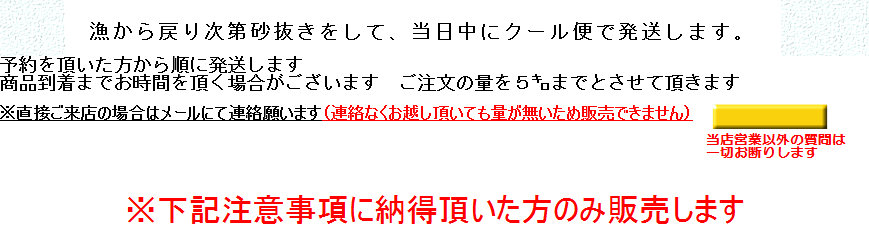 myweb16022002.jpg