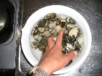 myweb16023006.jpg
