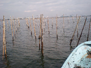 myweb16031014.jpg