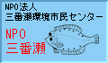 npo_b.gif